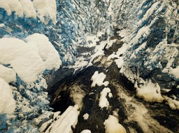 Rivière des Orignaux 11-2025 (3)